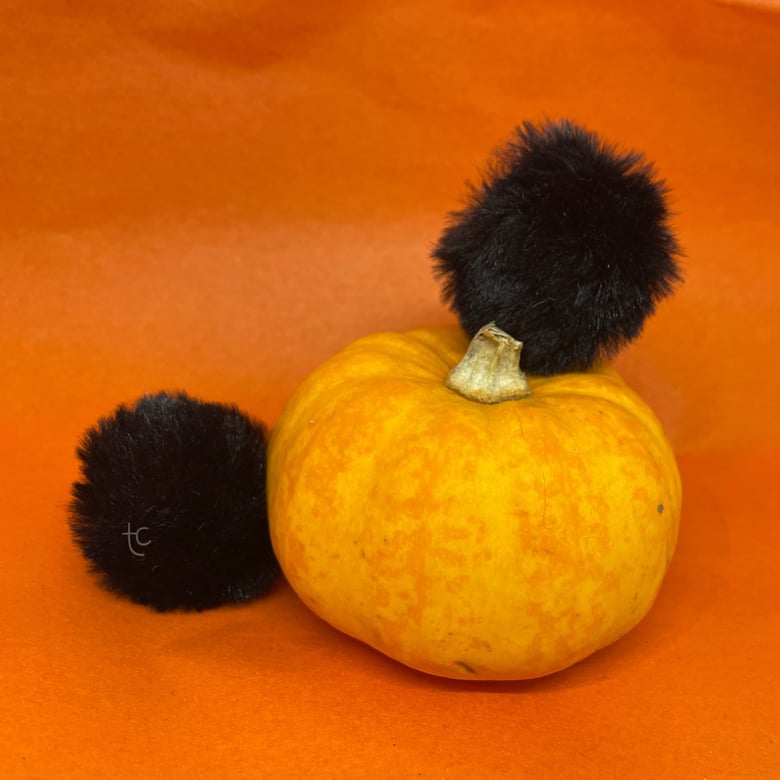 Image of Lucky Floof: Halloween Edition