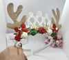 Princess Reindeer 