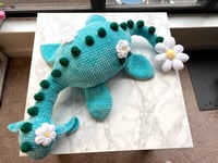 Image 5 of daisy nessie buddy
