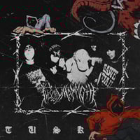 Image 2 of WOOLY MAMMOTH “TUSK” ALT COVER CD