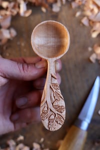 Image 7 of Oak Tree~ Coffee Scoop