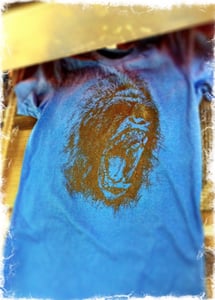 Image of The Cirrus Gorilla