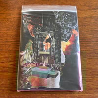 Rosebud/Revigorant split