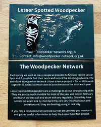 Image 3 of Lesser Spotted Woodpecker Enamel Pin Badge - The Woodpecker Network