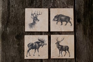 Image of Beast Coasters