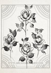 Image 1 of Roses