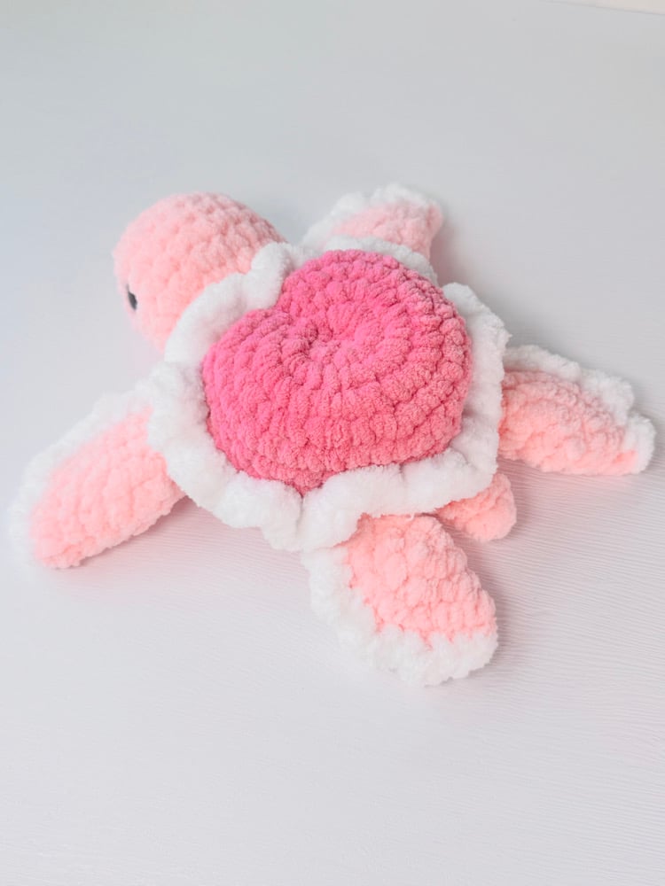 Image of Heart Turtle preorder