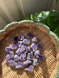 Image 4 of Amethyst Cluster (Small)