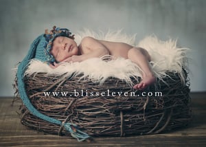 Image of  Bottomless Babies Nest {newborn photography Prop}