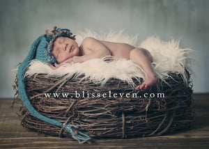 Image of Bottomless Babies Nest {newborn photography Prop}
