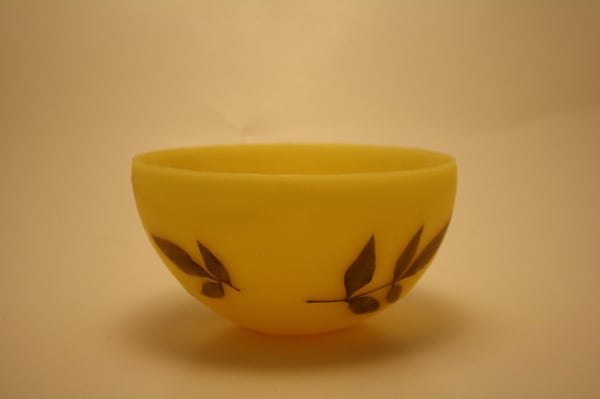 Image of Medium Beeswax Bowl