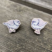 Image 2 of Piping Plovers 🪶