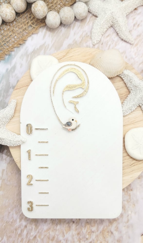 Image of Seagull Shores Stud Pack