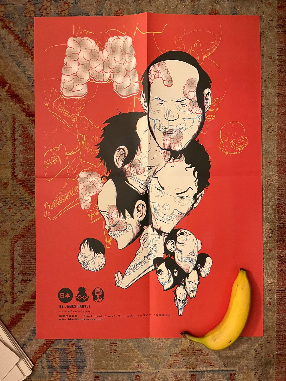 Japanese Masterplasty Poster 