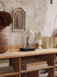 Image 2 of Le globe ancien 