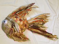 Image 1 of Goldfish 