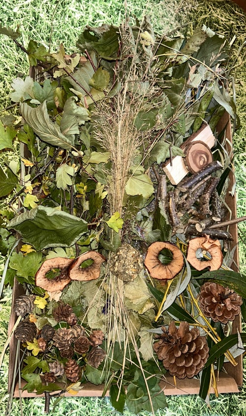 Image of Mystery seasonal Kraft tray filled with fresh forage, treats and enrichment