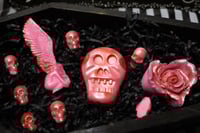 Angels & Demons