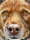 Custom Dog Portrait - Jade