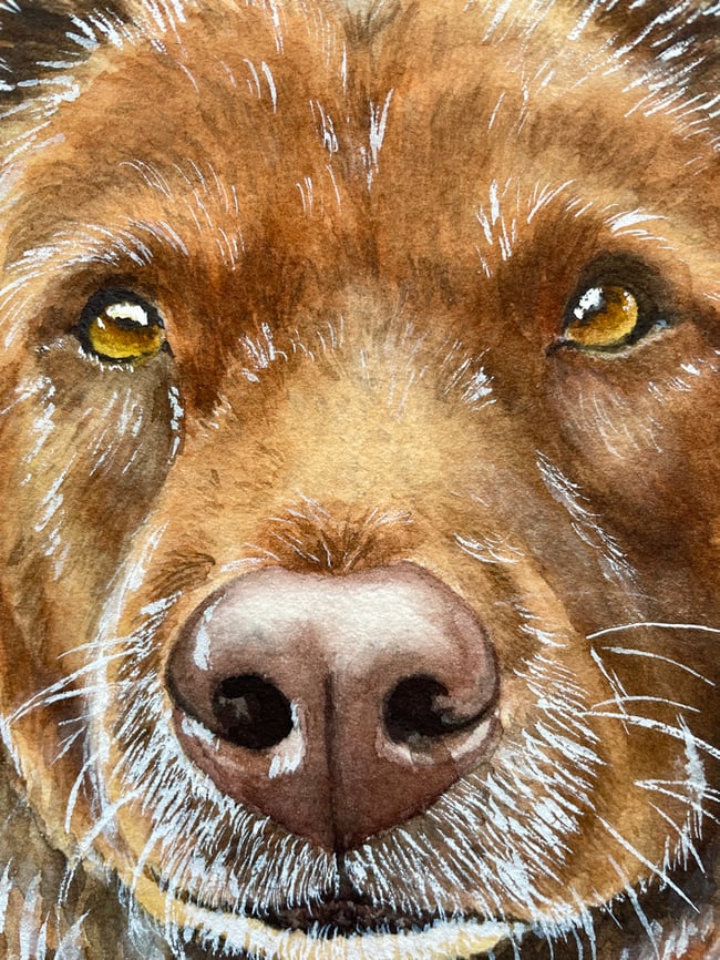 Custom Dog Portrait - Jade