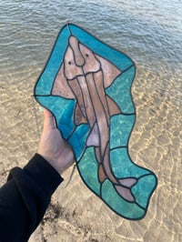 Image 3 of Guitarfish