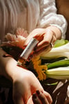 Dulce Mañana Roll-on essential oil blend 