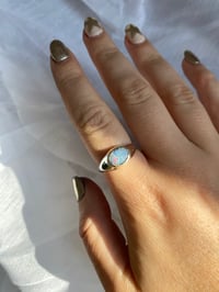 Image 3 of Ubud Opal I