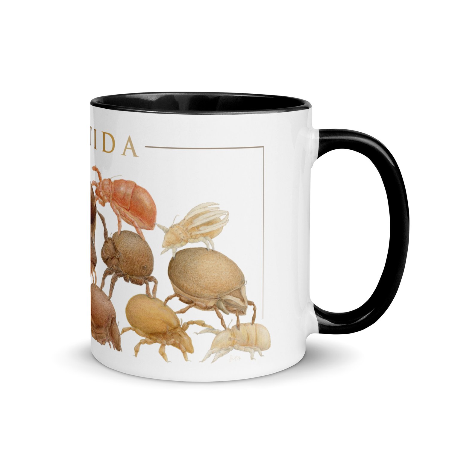 Oribatida colors mug