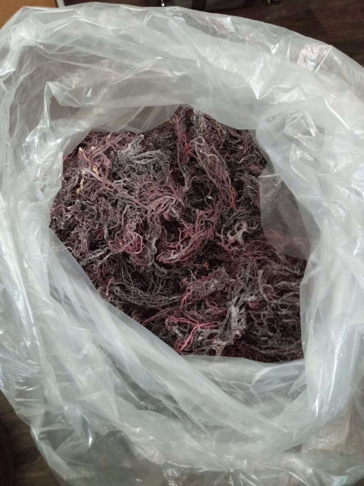 Image of 1 pound of St Lucian Purple seamoss  dried