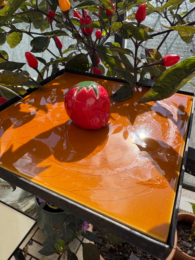 Image of cheeky tomato