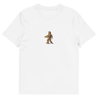 Image 1 of Skimming stones