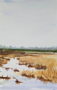 Image 2 of Wetlands 2