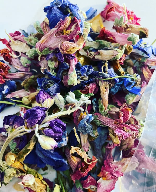 Image of Dried mixed flowers