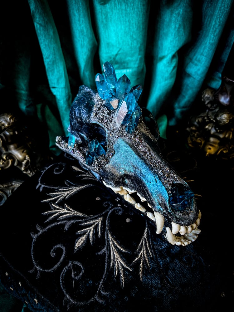 Image of Teal Blue Quartz & Carborundum - Coyote Skull 