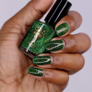 Image of Little box of Horrors