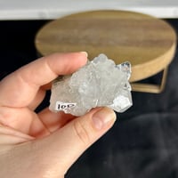 Image 7 of Apophyllite Specimens ($10-$12)