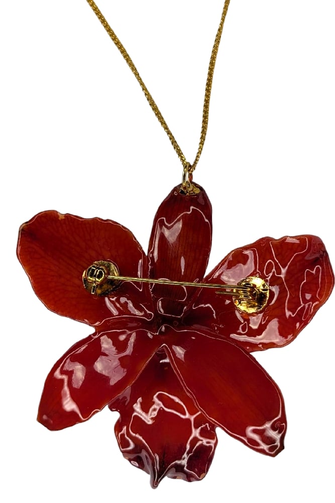Image of Cattleya Orchid Brooch Pendant