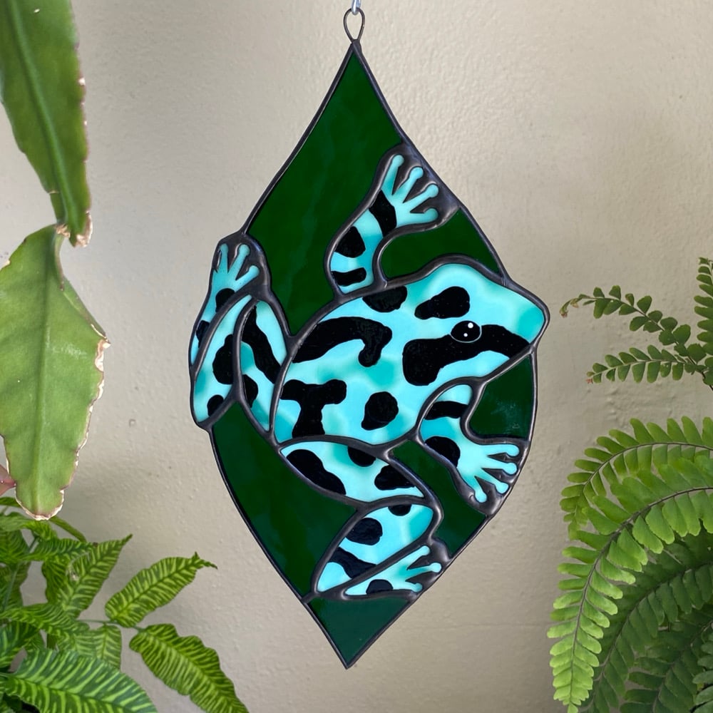 Image of Dendrobates Auratus