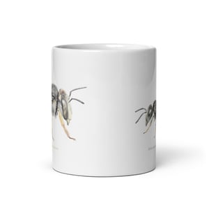 Anthidium Stelis mug