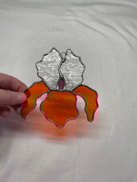 Image 2 of Orange and Clear Iris 