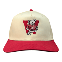 Image 1 of Bucky Snapbacks