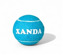 Image 1 of Personalized Tennis Ball Toy - Blue