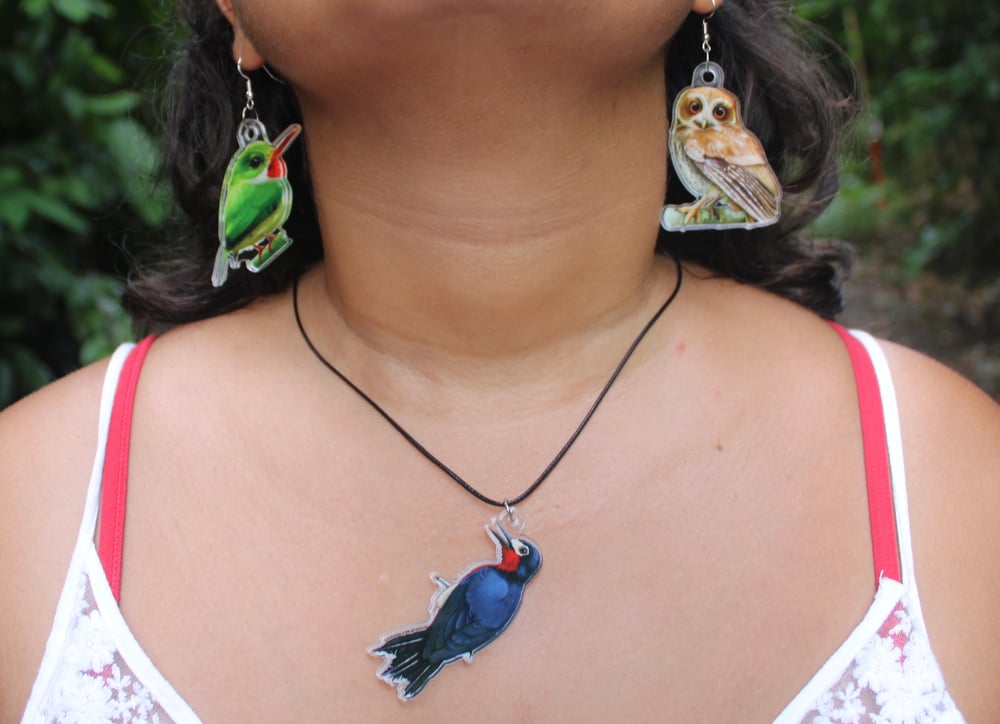 San Pedrito Earrings | Puerto Rican Tody