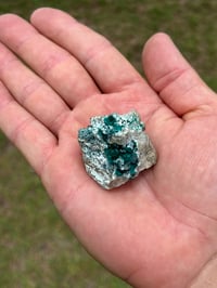 Image 6 of Dioptase On Matrix Specimen #2618