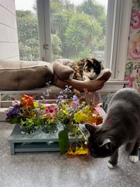 Image 13 of Cat-Safe Vase