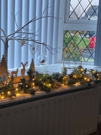 Image 3 of Nativity Scene 