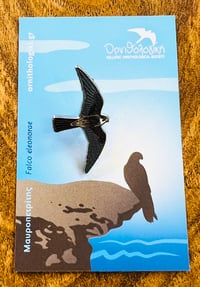 Eleonora’s Falcon (Light phase) - Hellenic Ornithological Society