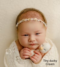 Image 1 of Ducky lovey 