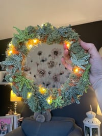 Image 2 of Peach Rizz Strain 8” Wreath