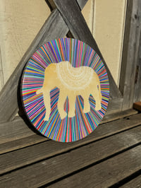Image 4 of 🐘circle of life 🌈